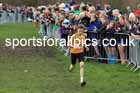 Intermediate Boys 2024 English Schools Cross Country Champs., Pontefract, March 16th.  Photo: David T. Hewitson/Sports for All Pics